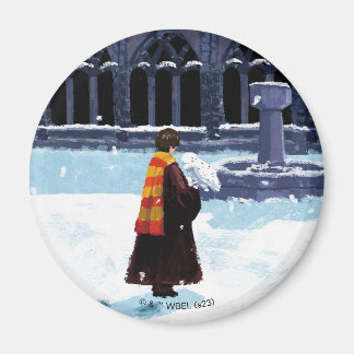 Imán HARRY POTTER™ y Hedwig en el patio HOGWARTS™