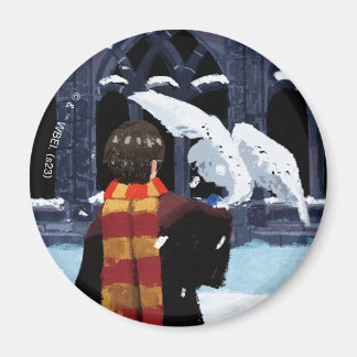 Imán HARRY POTTER™ y Hedwig en la nieve