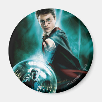 Imán Harry Potter y Voldemort sólo uno puede sobrevivir