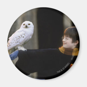 Imán Harry y Hedwig 3