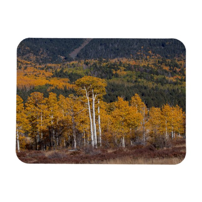Imán Hart Prairie (Horizontal)