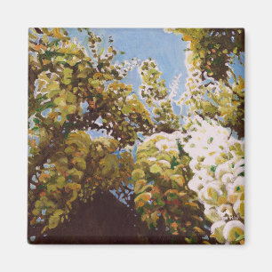 Imán Hasta la glicinia 2011