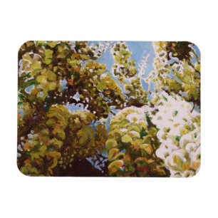 Imán Hasta la glicinia 2011