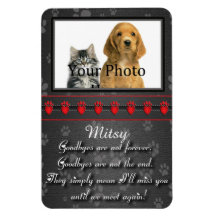 Hasta que nos volvamos a ver Memorial para Gato o 