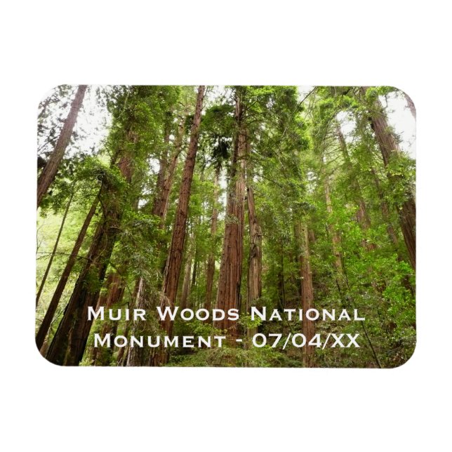 Imán Hasta secuoyas en el Monumento Nacional Muir Woods (Horizontal)