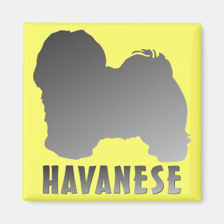Imán Havanés