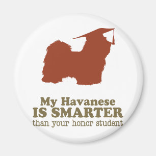 Imán Havanese