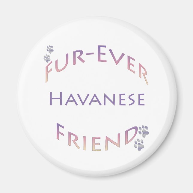 Imán Havanese Furever (Frente)