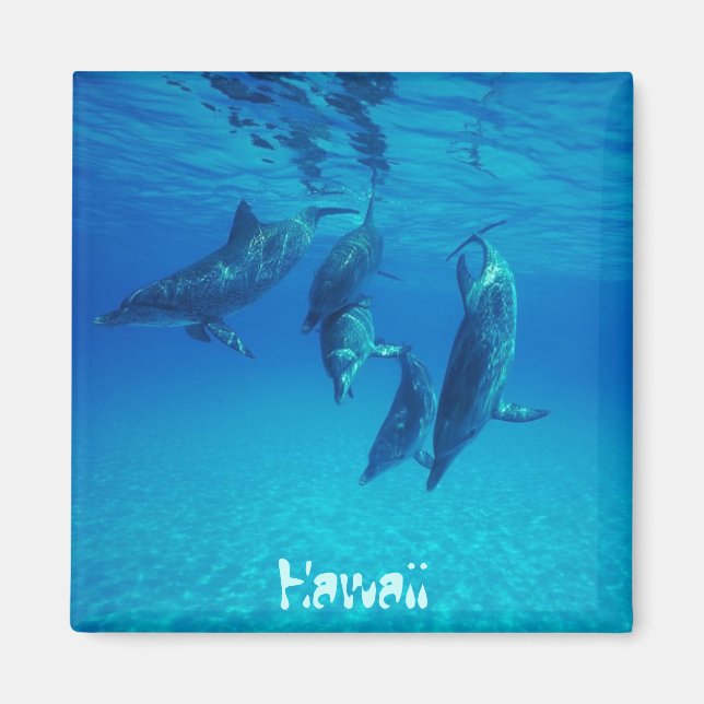 Imán Hawái (Frente)