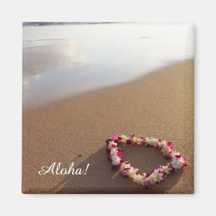 Imán hawaiano de la playa de los leus