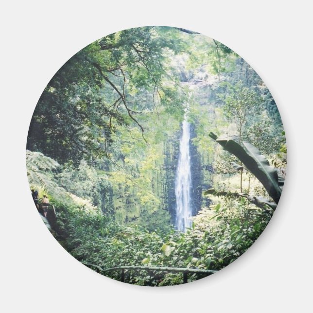 imán hawaii (Frente)