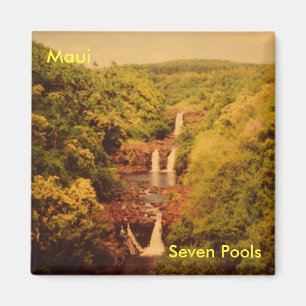 Imán hawaii frdge imnet