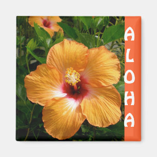 Imán Hawaii Hibiscus Aloha