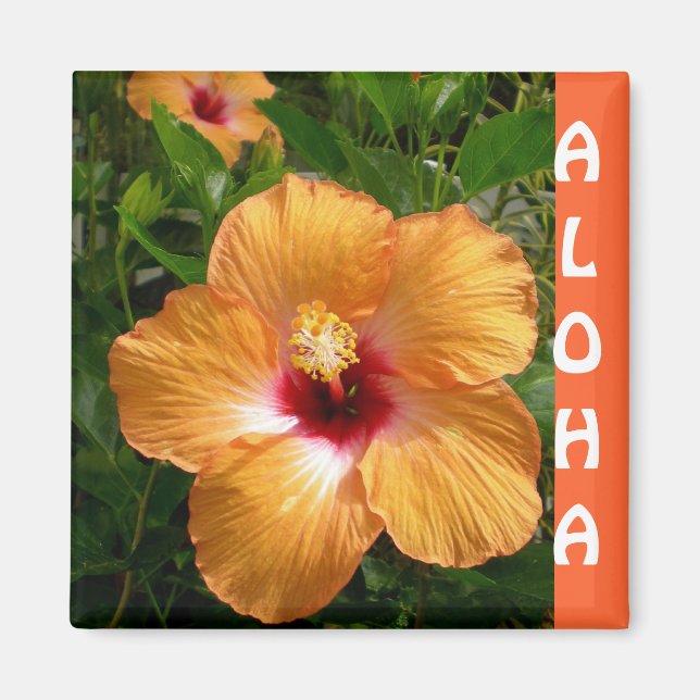 Imán Hawaii Hibiscus Aloha (Frente)
