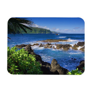 Imán Hawaii Magnet