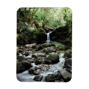 Imán Hawaii, Maui, Una cascada fluye hacia el estanque 