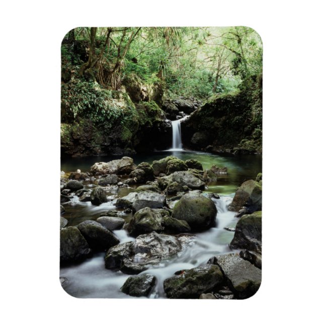 Imán Hawaii, Maui, Una cascada fluye hacia el estanque  (Vertical)