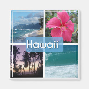 Imán Hawaii Seascape