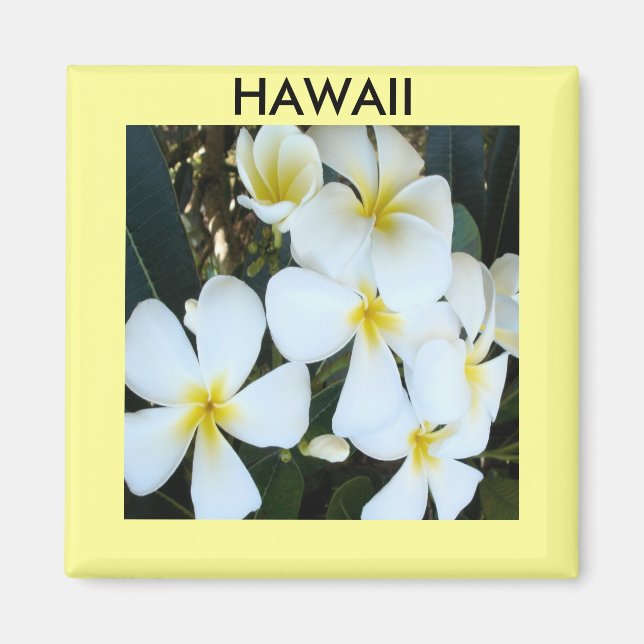 Imán Hawaiian tropical flowers (Frente)