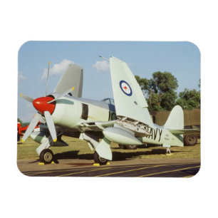 Imán Hawker Sea Fury en CAF, ala de Minnesota, en el