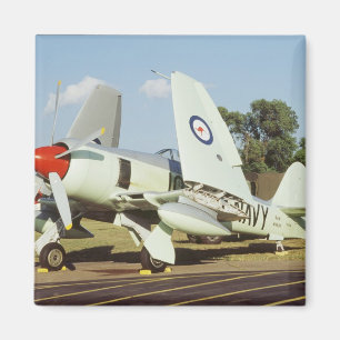 Imán Hawker Sea Fury en CAF, ala de Minnesota, en el