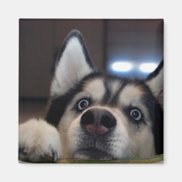 Imán ¿Hay Alguien Ahí Fuera?