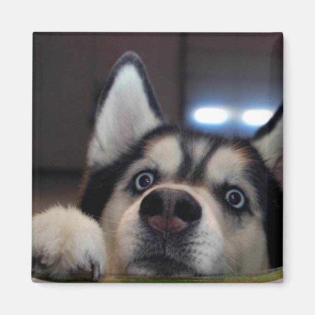 Imán ¿Hay Alguien Ahí Fuera? (Frente)