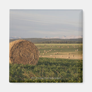 Imán Hay Bales En Un Campo Con Montañas Al Amanecer