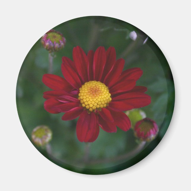 Imán Hay una mamá en el aire... (Frente)