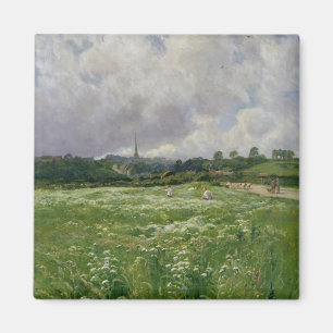 Imán Haymaking