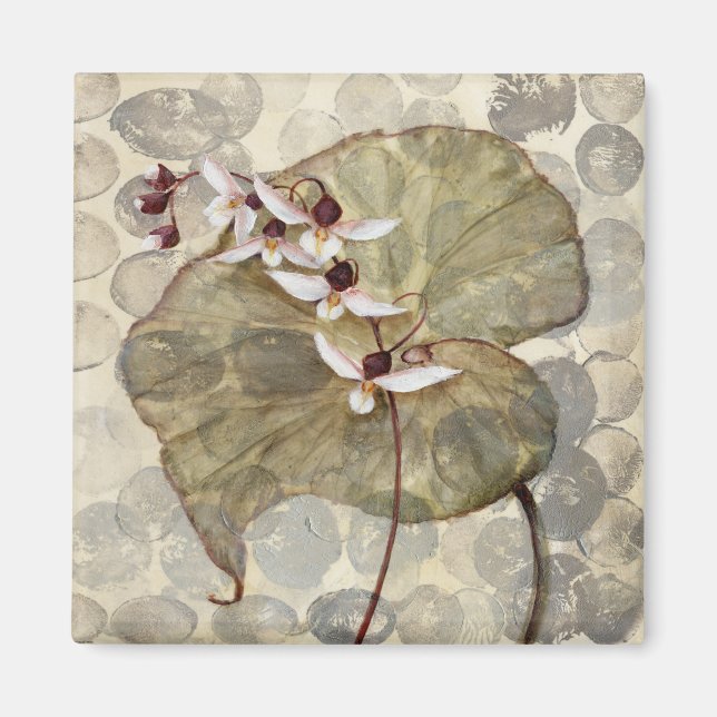 Imán HAZ24 Amazonia 2.tif (Frente)