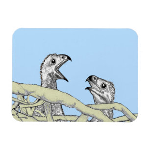 Imán Haz Que Los Aguilas Ruidosas Sean La Segunda Natur