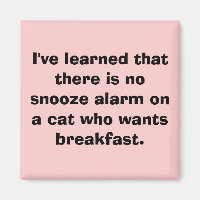 He aprendido que no hay una alarma de snooze en...
