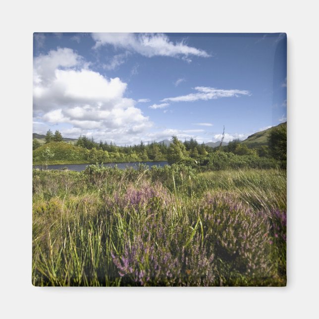 Imán Heathland Magnet (Frente)