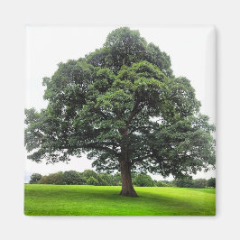 Imán Heaton Park Magnet