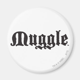 Imán Hechizo de Harry Potter | Muggle