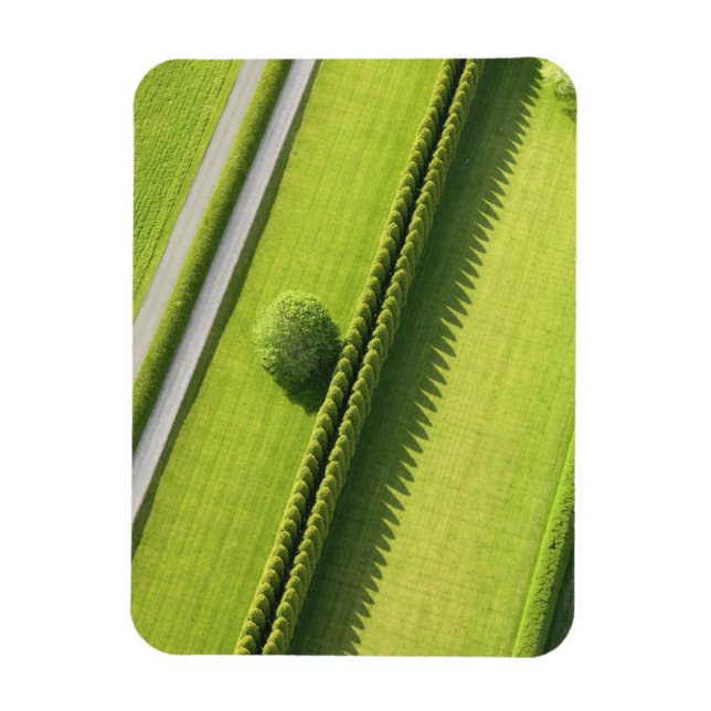 Imán Hedge en los Hamptons (Vertical)