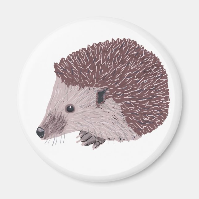 Imán Hedgehog (Frente)