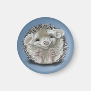 Imán Hedgehog