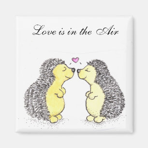 Imán Hedgehog Amor Magnet
