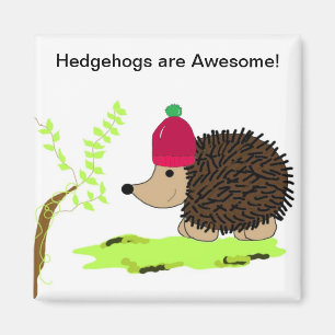 Imán Hedgehog en una Toque Roja