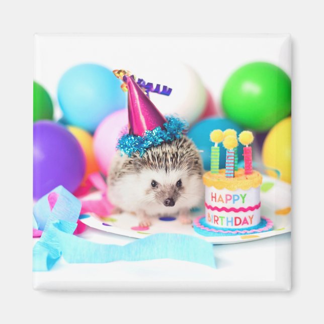 Imán Hedgehog Happy Birthday! (Frente)