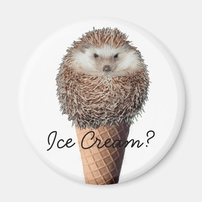 Imán Hedgehog Ice Cream (Frente)