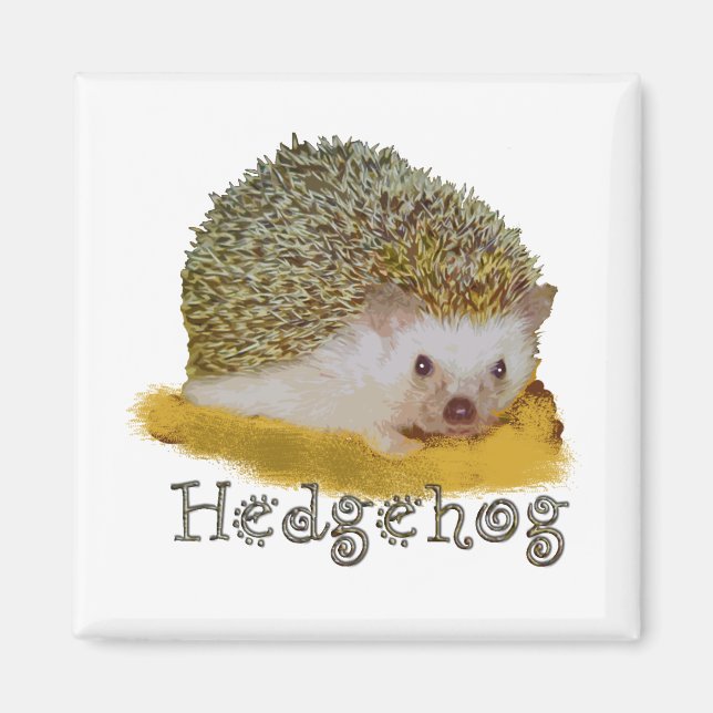 Imán Hedgehog imnet (Frente)