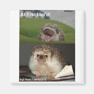Imán Hedgehog imnet