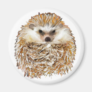 Imán Hedgehog imnet