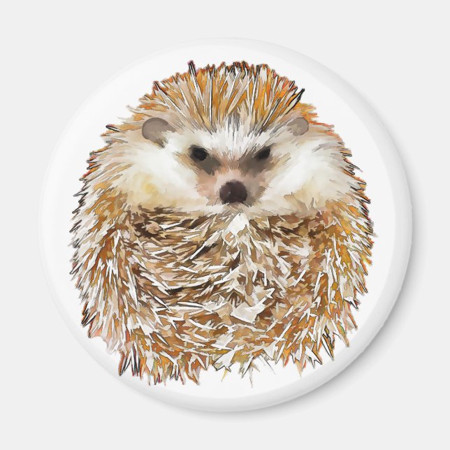 Imán Hedgehog imnet (Frente)
