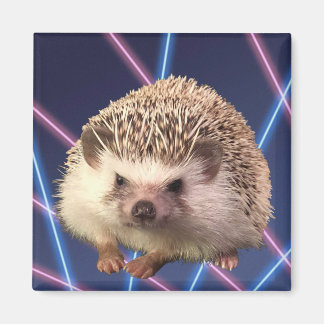 Imán Hedgehog Laser Background Magnet