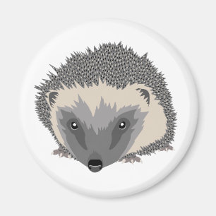 Imán Hedgehog Magnet