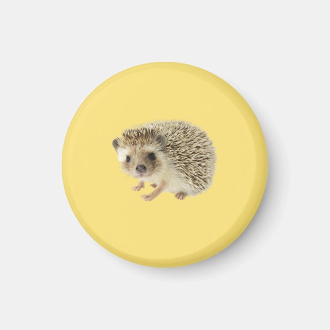 Imán Hedgehog Magnet (Frente)